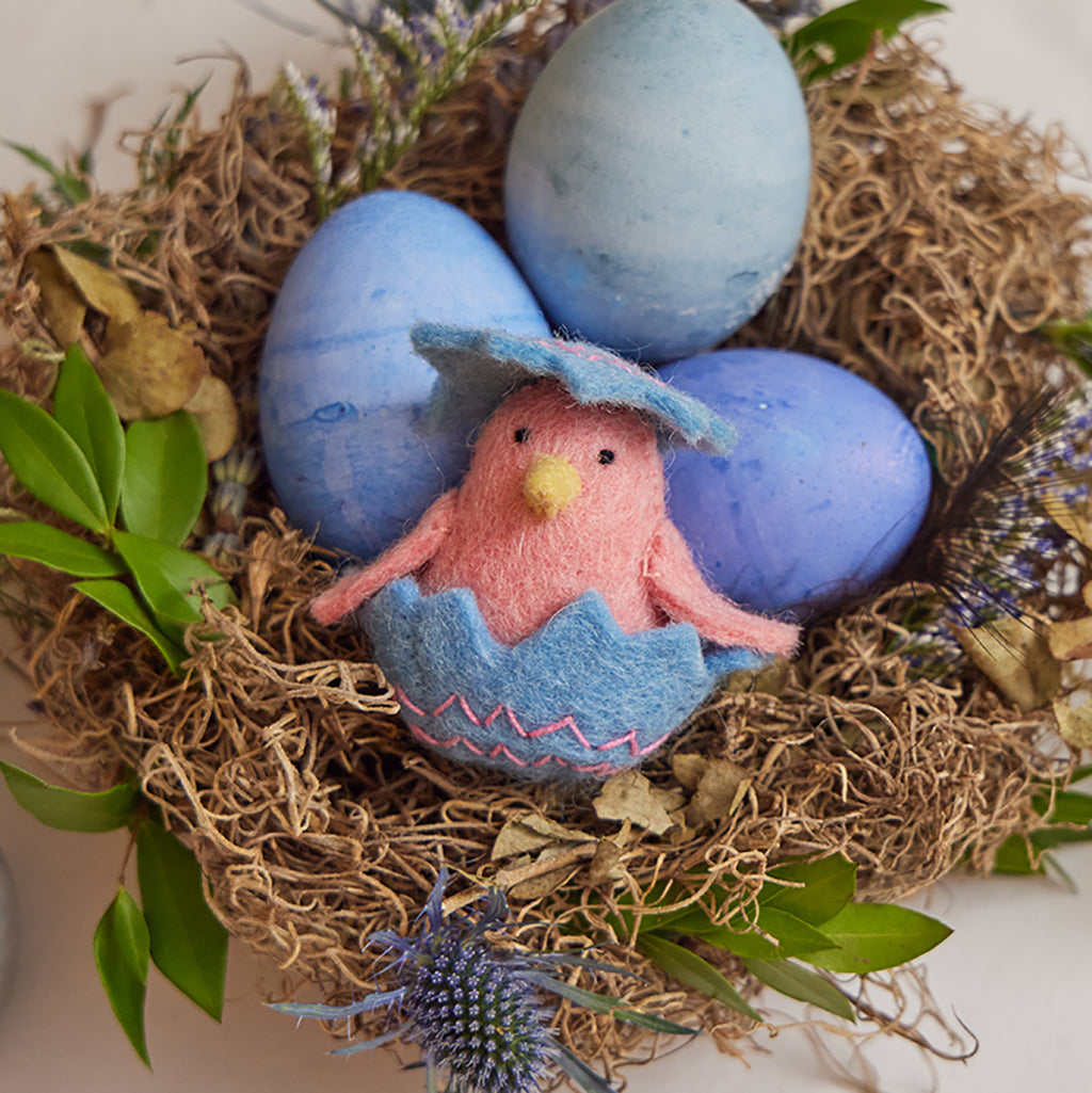 Hatchling Chick in Shell