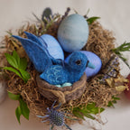 Bluebird in Nest Eggs
