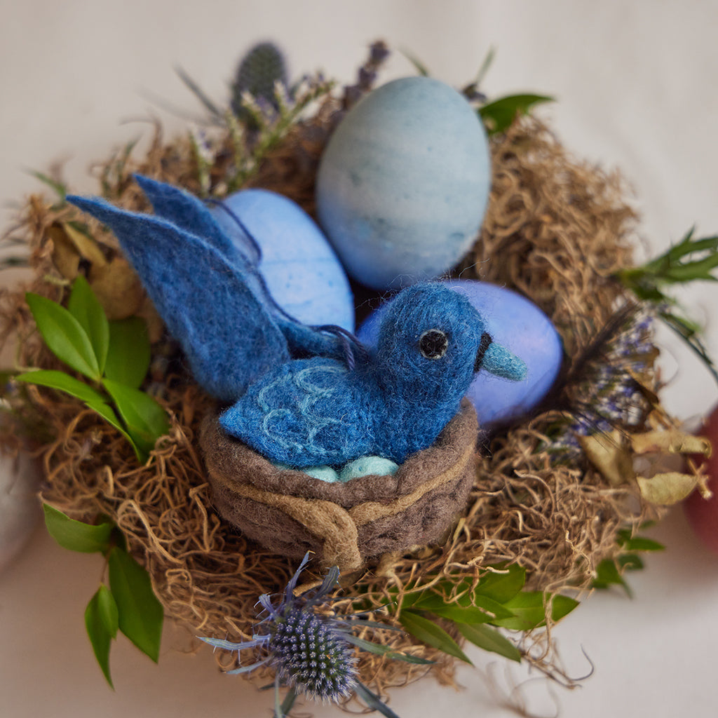 Bluebird in Nest Eggs