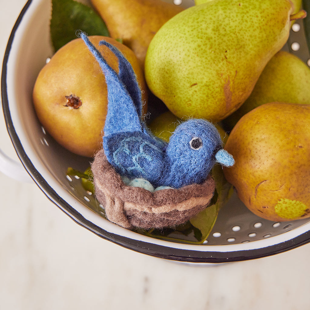 Bluebird in Nest Eggs