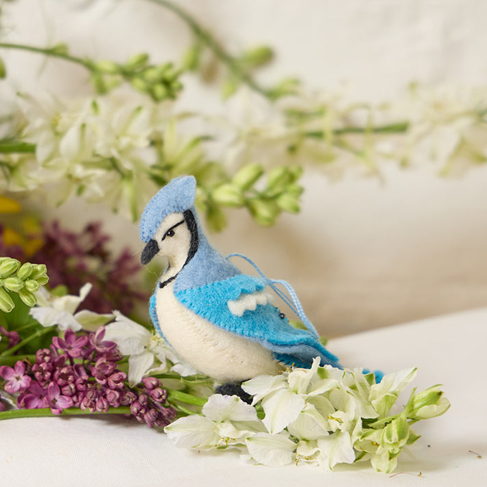 Blue Jay Ornament