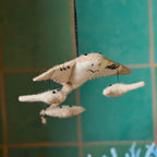 Manta Ray with Babies