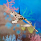 Manta Ray with Babies