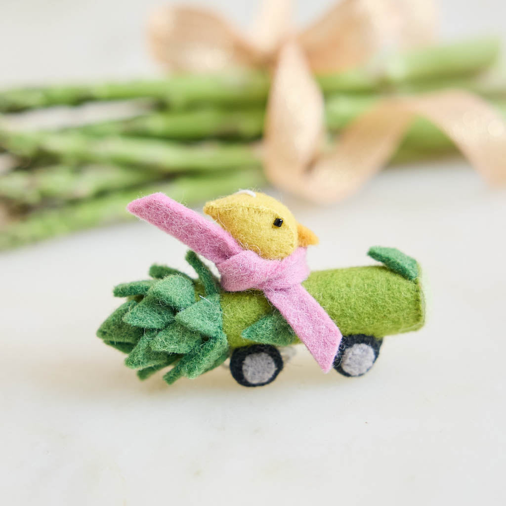 Chick in Asparagus Car