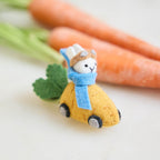 Bunny in Carrot Car