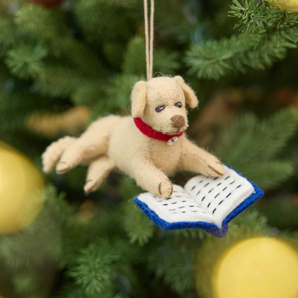 Reading Dog Ornament