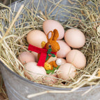 Brown Bunny with Chicks