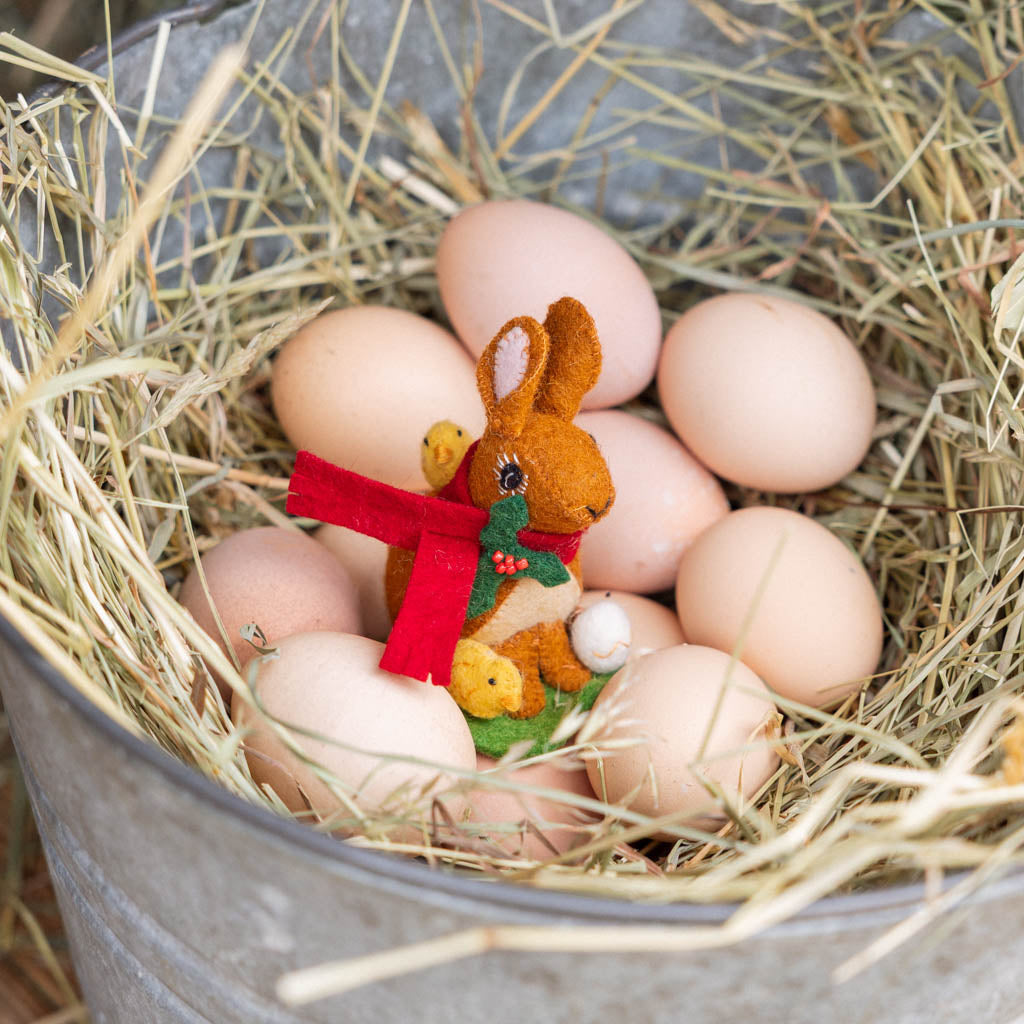Brown Bunny with Chicks
