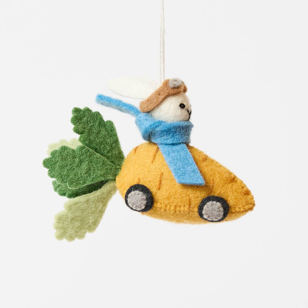 Bunny in Carrot Car