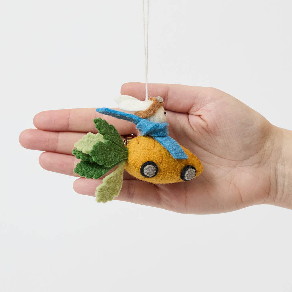 Bunny in Carrot Car