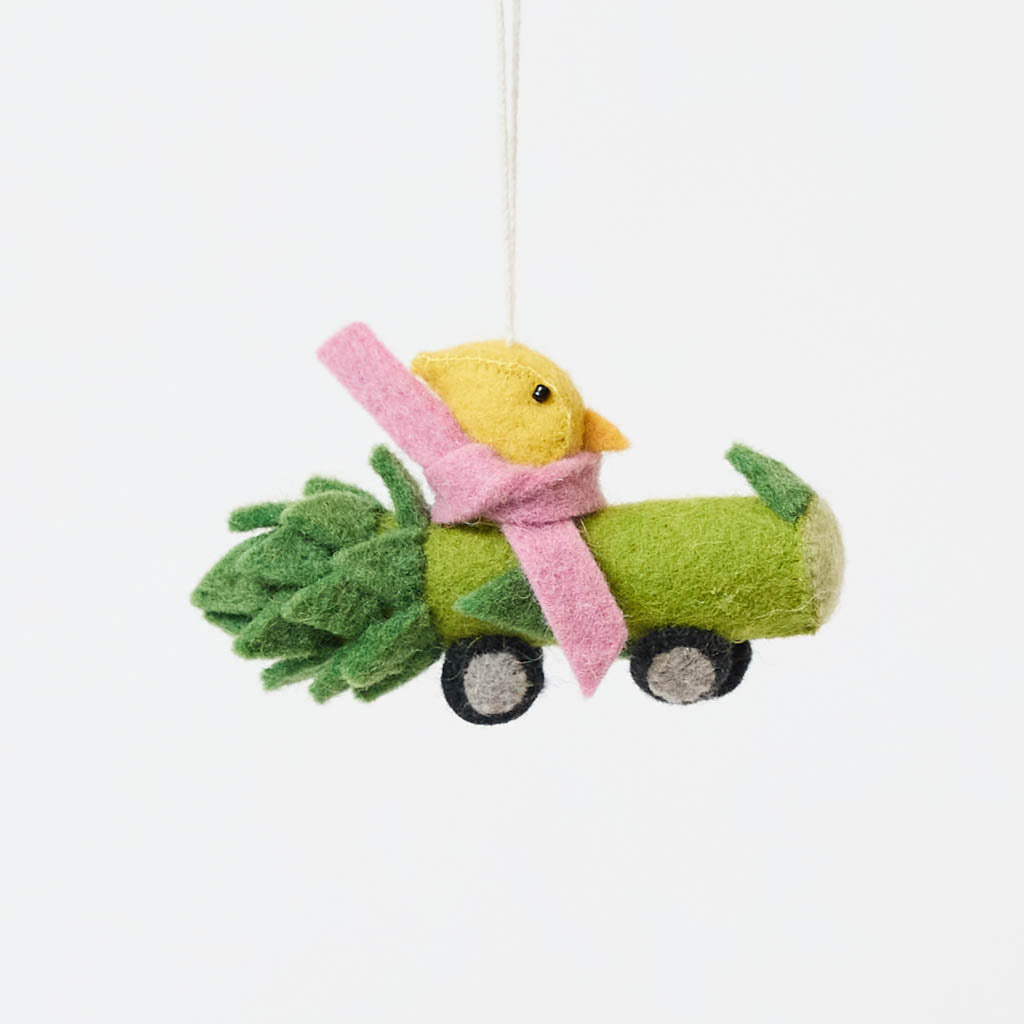 Chick in Asparagus Car