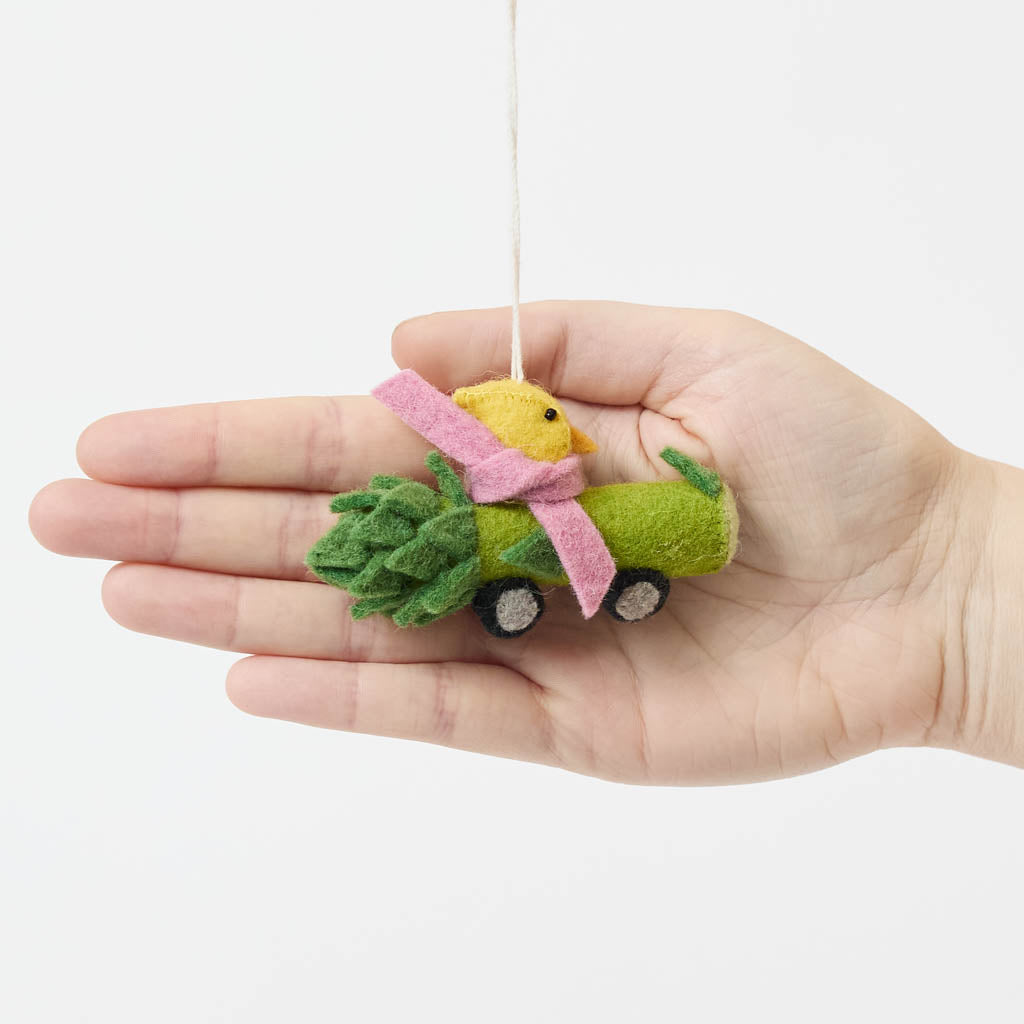 Chick in Asparagus Car