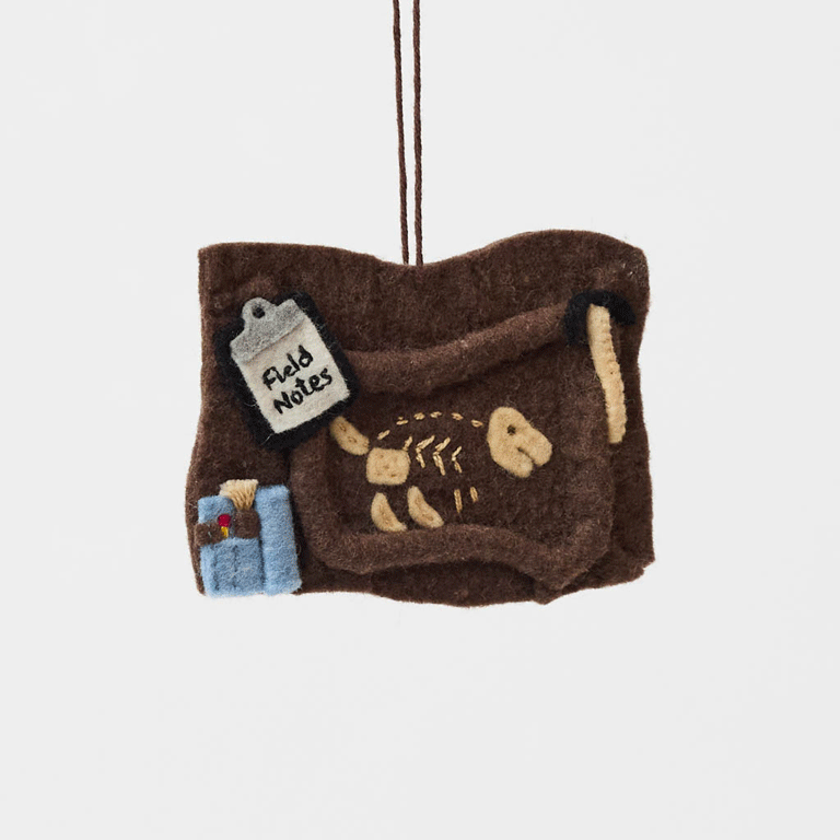 Dinosaur Bones Ornament