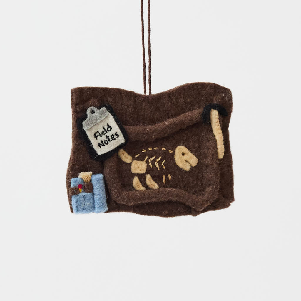 Dinosaur Bones Ornament