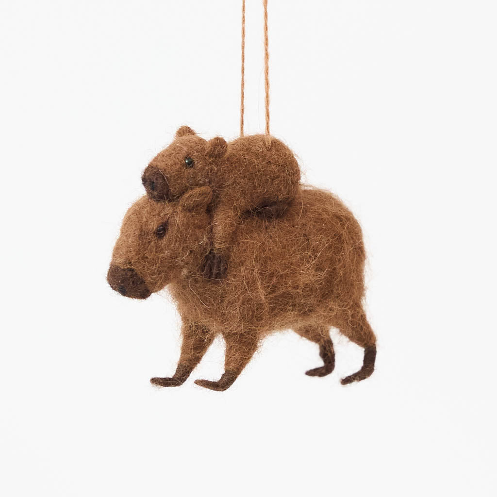 Fuzzy Capybara with Baby