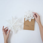 Paper Snowflakes
