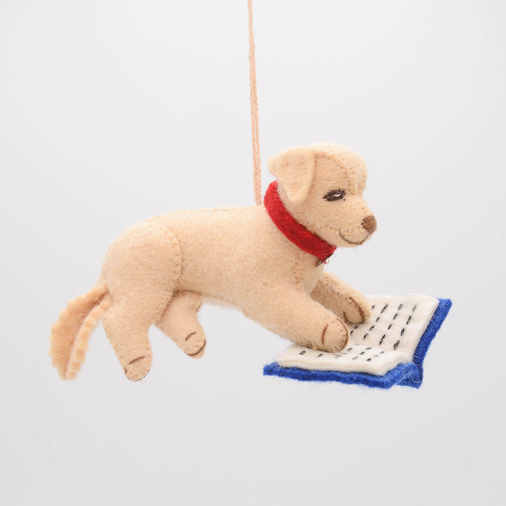 Reading Dog Ornament